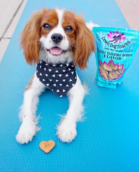 feature-collection-image